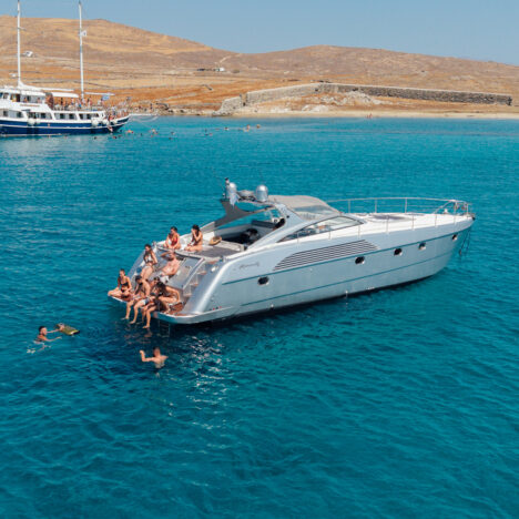 Alfamarine 50ft Open